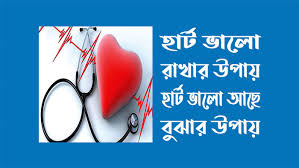 Heart Health Guide Dr Mohibulla Mollah
